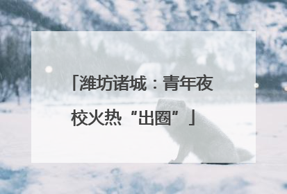 潍坊诸城：青年夜校火热“出圈”