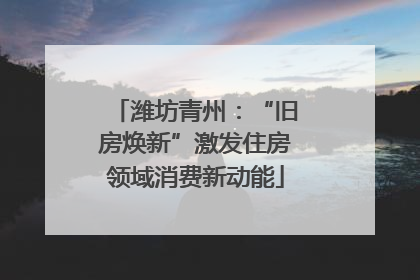 潍坊青州：“旧房焕新”激发住房领域消费新动能