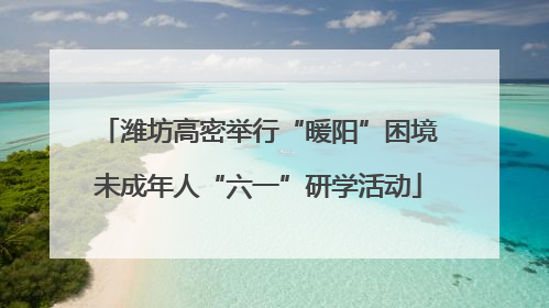 潍坊高密举行“暖阳”困境未成年人“六一”研学活动
