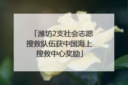 潍坊2支社会志愿搜救队伍获中国海上搜救中心奖励