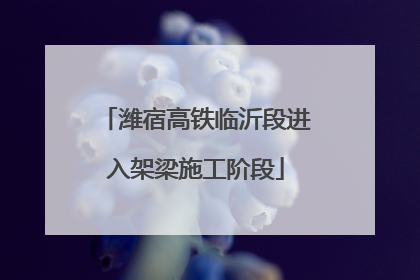 潍宿高铁临沂段进入架梁施工阶段