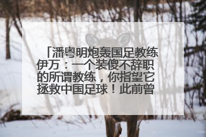 潘粤明炮轰国足教练伊万：一个装傻不辞职的所谓教练，你指望它拯救中国足球！此前曾多次发文评价国足