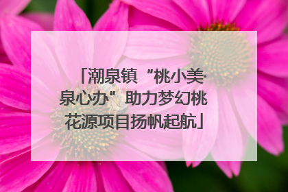 潮泉镇“桃小美·泉心办”助力梦幻桃花源项目扬帆起航