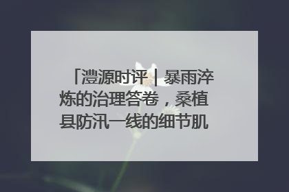 澧源时评｜暴雨淬炼的治理答卷，桑植县防汛一线的细节肌理与体系力量