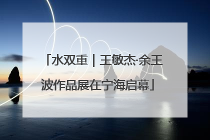 水双重｜王敏杰·余王波作品展在宁海启幕