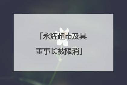 永辉超市及其董事长被限消