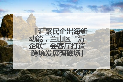 汇聚民企出海新动能，兰山区“沂企联”会客厅打造跨境发展强磁场