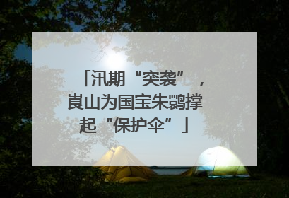 汛期“突袭”，崀山为国宝朱鹮撑起“保护伞”