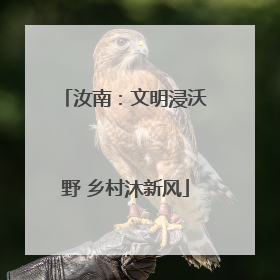 汝南：文明浸沃野 乡村沐新风