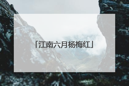 江南六月杨梅红