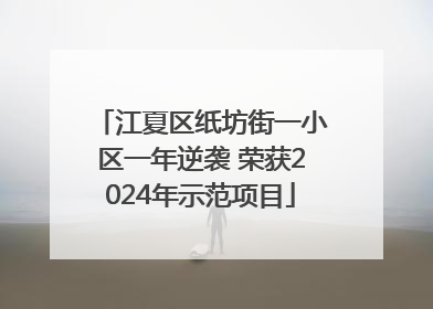 江夏区纸坊街一小区一年逆袭 荣获2024年示范项目