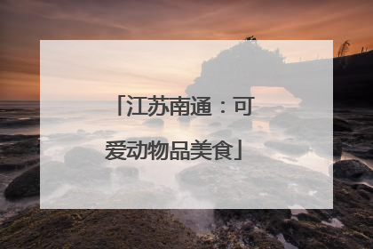 江苏南通：可爱动物品美食