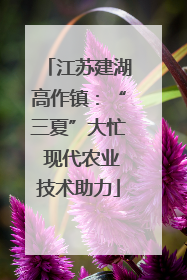 江苏建湖高作镇：“三夏”大忙 现代农业技术助力