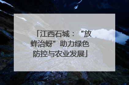 江西石城：“放蜂治蚜”助力绿色防控与农业发展
