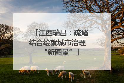 江西瑞昌：疏堵结合绘就城市治理“新图景”