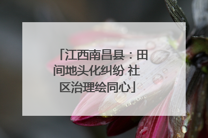 江西南昌县：田间地头化纠纷 社区治理绘同心