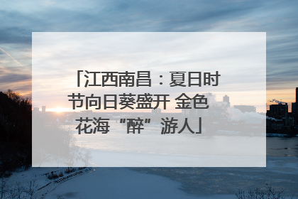 江西南昌：夏日时节向日葵盛开 金色花海“醉”游人