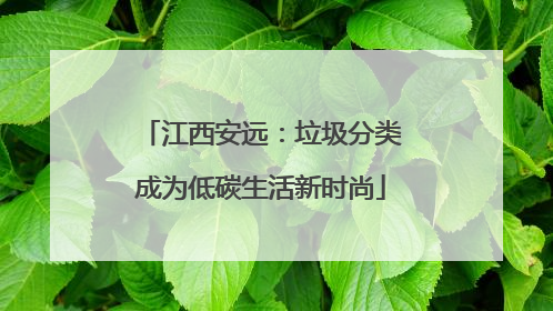 江西安远：垃圾分类成为低碳生活新时尚