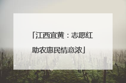 江西宜黄：志愿红助农惠民情意浓