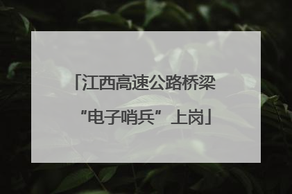江西高速公路桥梁“电子哨兵”上岗