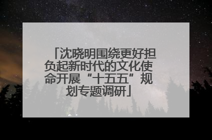 沈晓明围绕更好担负起新时代的文化使命开展“十五五”规划专题调研