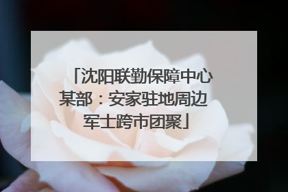 沈阳联勤保障中心某部：安家驻地周边 军士跨市团聚
