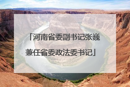 河南省委副书记张巍兼任省委政法委书记