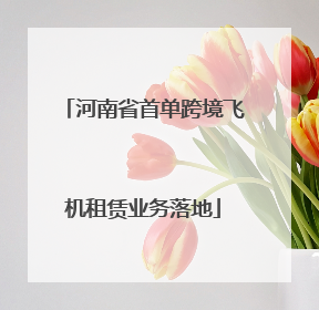 河南省首单跨境飞机租赁业务落地