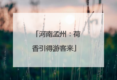 河南孟州：荷香引得游客来