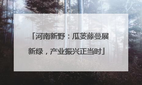 河南新野：瓜蒌藤蔓展新绿，产业振兴正当时