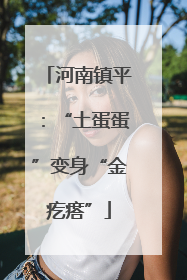 河南镇平：“土蛋蛋”变身“金疙瘩”