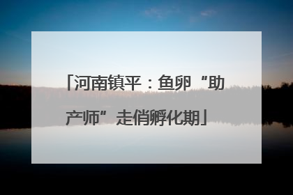 河南镇平：鱼卵“助产师”走俏孵化期
