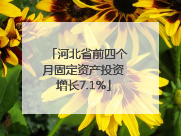 河北省前四个月固定资产投资增长7.1%