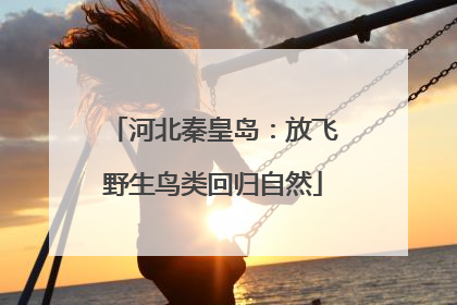 河北秦皇岛：放飞野生鸟类回归自然