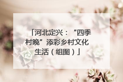 河北定兴：“四季村晚”添彩乡村文化生活（组图）