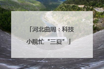 河北曲周：科技小院忙“三夏”