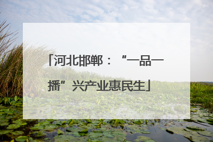 河北邯郸：“一品一播”兴产业惠民生