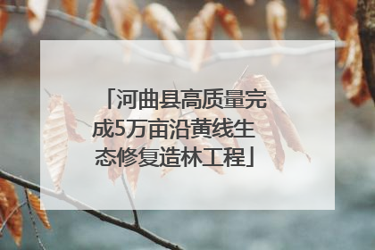 河曲县高质量完成5万亩沿黄线生态修复造林工程