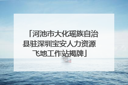 河池市大化瑶族自治县驻深圳宝安人力资源飞地工作站揭牌