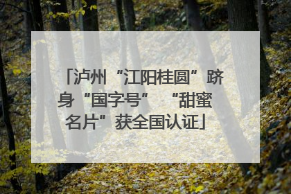 泸州“江阳桂圆”跻身“国字号” “甜蜜名片”获全国认证