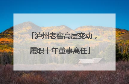 泸州老窖高层变动，履职十年董事离任