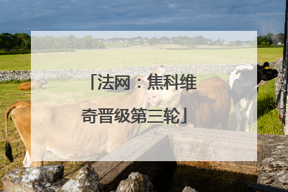 法网：焦科维奇晋级第三轮