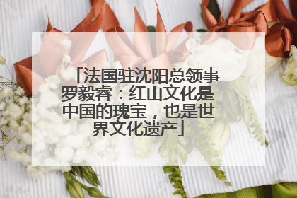 法国驻沈阳总领事罗毅睿：红山文化是中国的瑰宝，也是世界文化遗产
