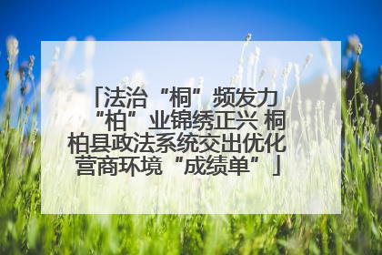 法治“桐”频发力 “柏”业锦绣正兴 桐柏县政法系统交出优化营商环境“成绩单”
