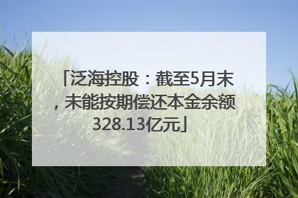 泛海控股：截至5月末，未能按期偿还本金余额328.13亿元