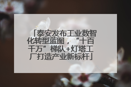 泰安发布工业数智化转型蓝图，“十百千万”梯队+灯塔工厂打造产业新标杆