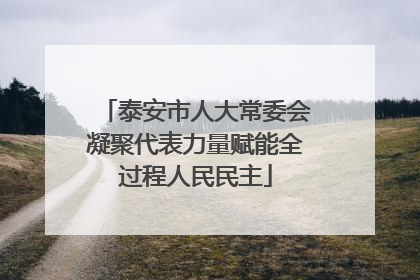 泰安市人大常委会凝聚代表力量赋能全过程人民民主