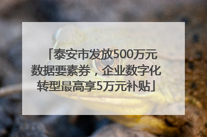泰安市发放500万元数据要素券，企业数字化转型最高享5万元补贴