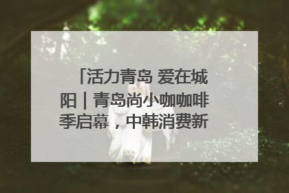 活力青岛 爱在城阳｜青岛尚小咖咖啡季启幕，中韩消费新场景点燃夏日热情