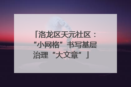 洛龙区天元社区：“小网格”书写基层治理“大文章”